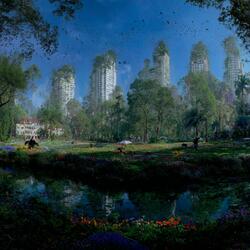 The Journey of the Shimmering Willows
