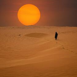 Across the Sands of the Dying Sun