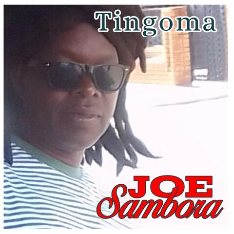 Tingoma
