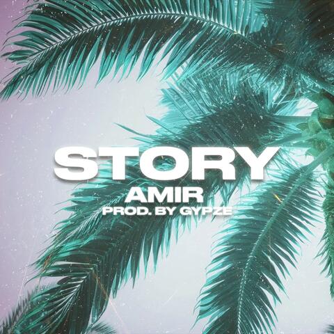 Story