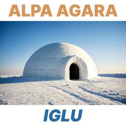 Iglu