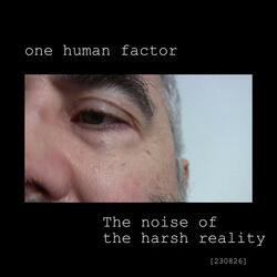 The Noise of the Harsh Reality