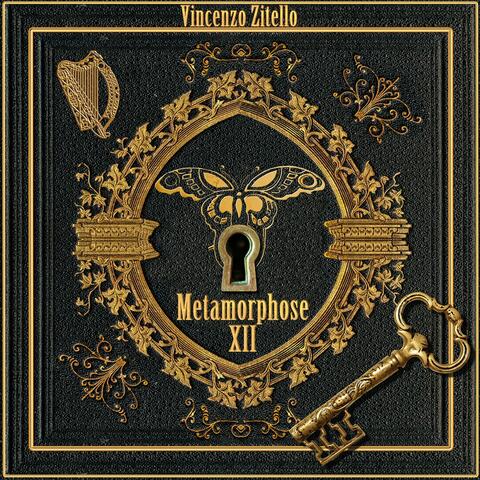 Metamorphose VII