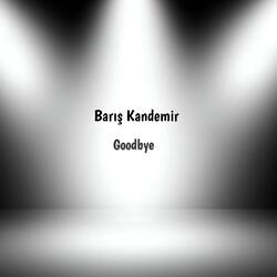 Goodbye