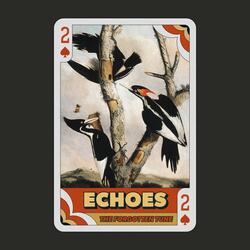 A Deep Well of Apologies