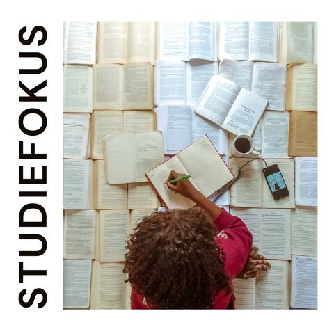 Studiefokus