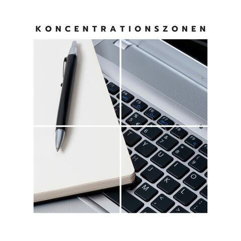 Koncentrationszonen