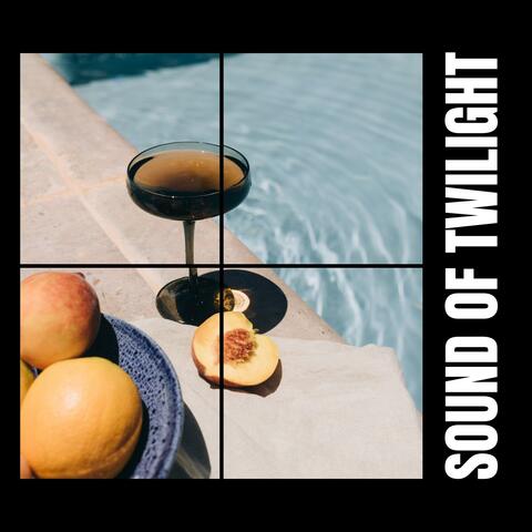 Sound of Twilight