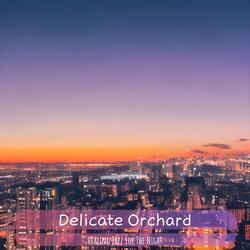 Moonlit Whispers at Midnight