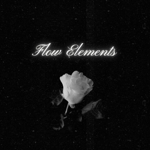 Flow Elements
