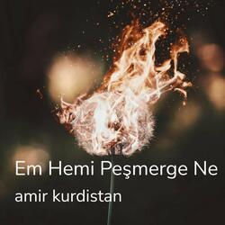Em Hemi Peşmerge Ne