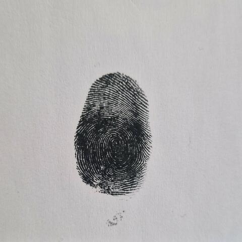 Identität