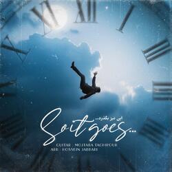 Solt It Goes