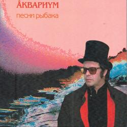 Зимняя роза