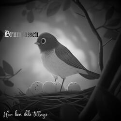 Hun kom ikke tilbage