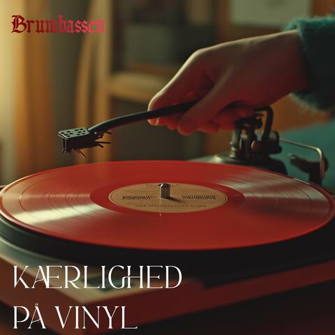 Kærlighed på vinyl