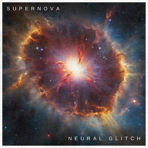 Neural Glitch