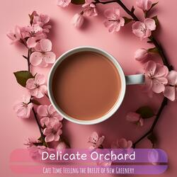 Pastries and Daydreams Collide