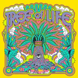 I Don't Want to Belong to You