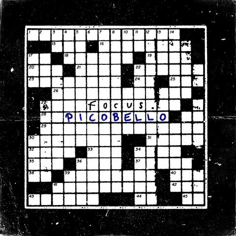 Picobello