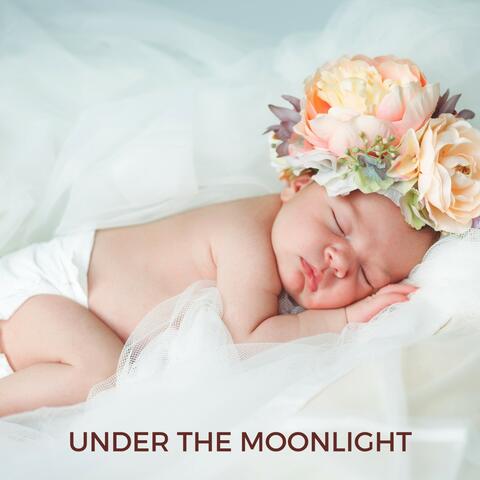 Under the Moonlight