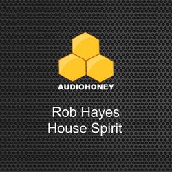 House Spirit