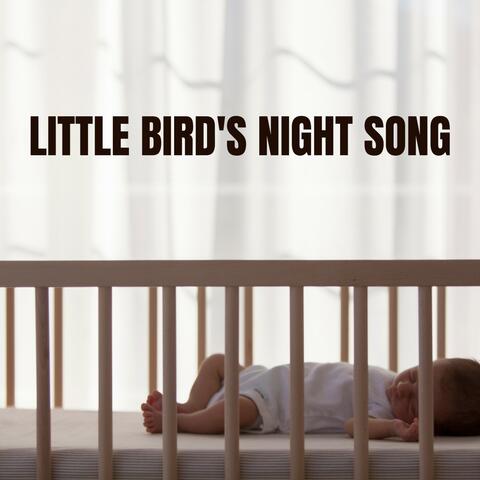 Little Bird's Night Song