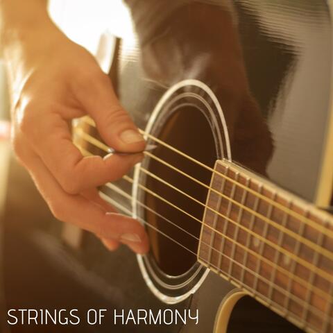 Strings of Harmony