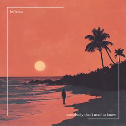 Somebody That I Used to Know
