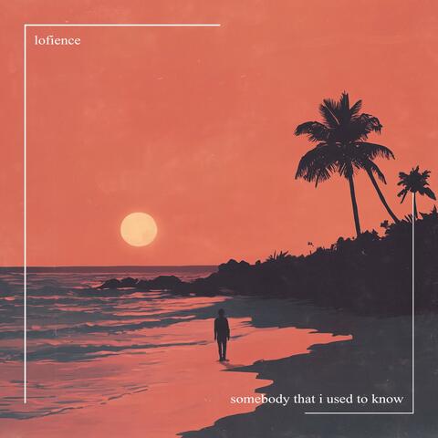 Somebody That I Used to Know