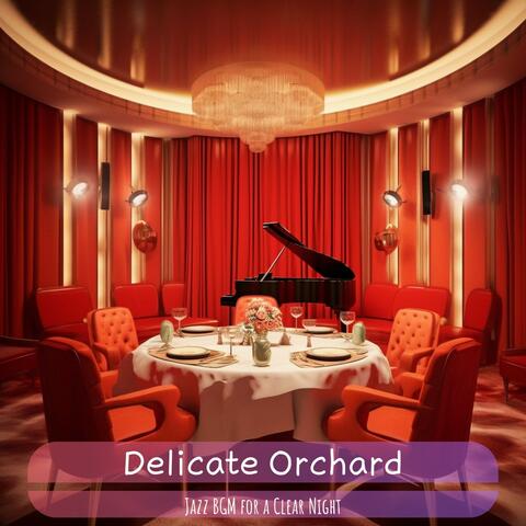 Jazz Bgm for a Clear Night