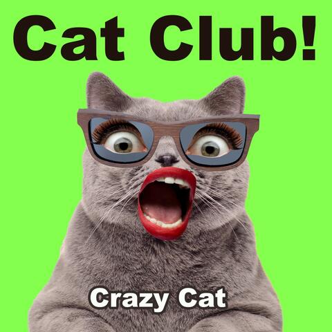 Cat Club!