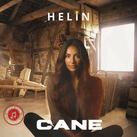 Cane