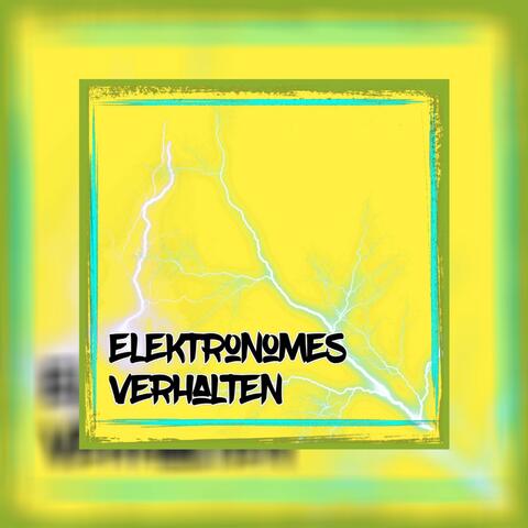 Elektronomes Verhalten, Vol. 1