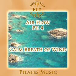 Air Flow, Pt. 4 - Calm Breath of Wind
