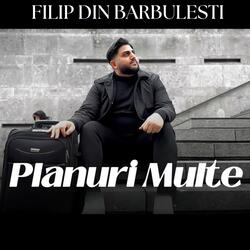 Planuri multe