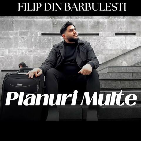 Planuri multe