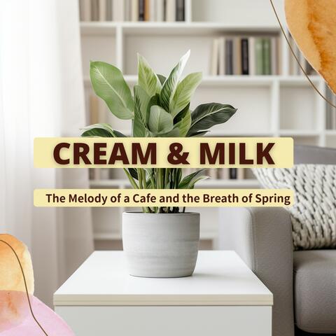 The Melody of a Cafe and the Breath of Spring