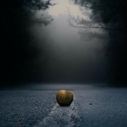 Hypnagogia
