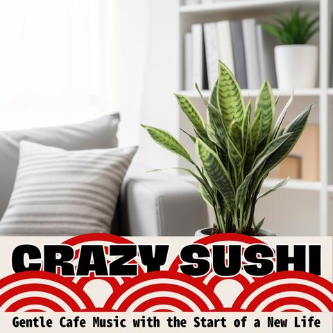 Gentle Cafe Music with the Start of a New Life