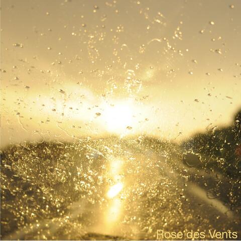 Rose des Vents