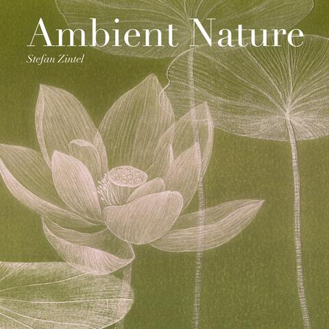 Ambient Nature