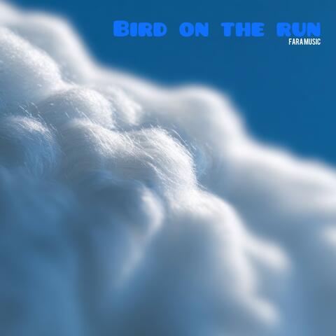 Bird on the Run