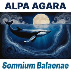 Somnium Balaenae