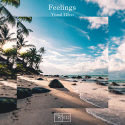 Feelings