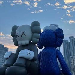 隐世佳人
