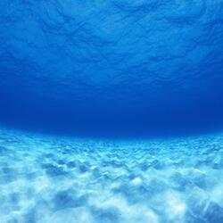 流浪的心