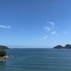 绿叶在流泪（古筝）
