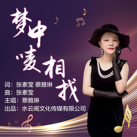 梦中唛相找
