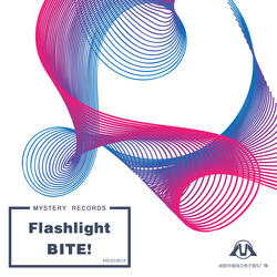 Flashlight